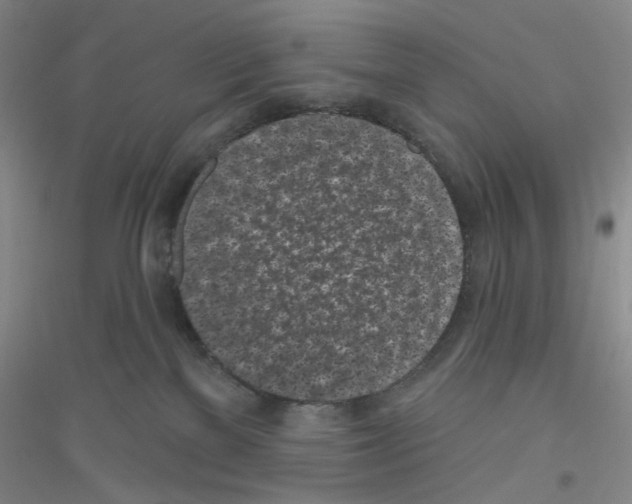 X0000116850137201002021053