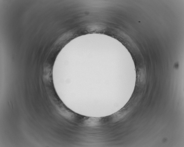 X0000116850138201002021053