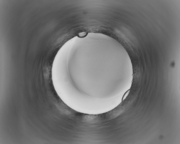 X0000116850139201002021053