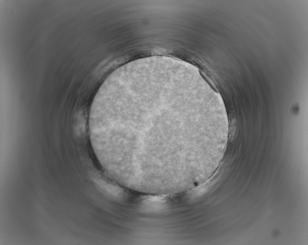 X0000116850140201002021053