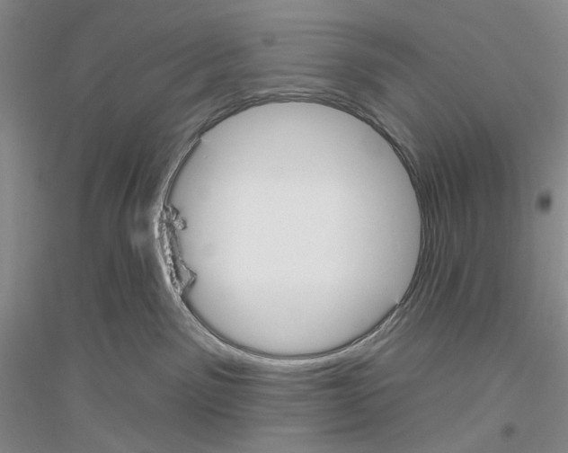 X0000116850141201002021053