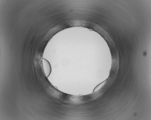 X0000116850142201002021053