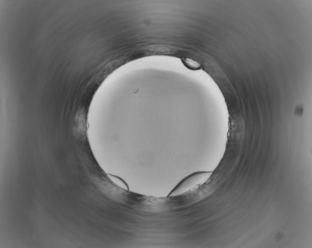 X0000116850143201002021053