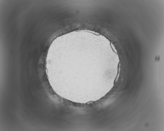X0000116850144201002021053