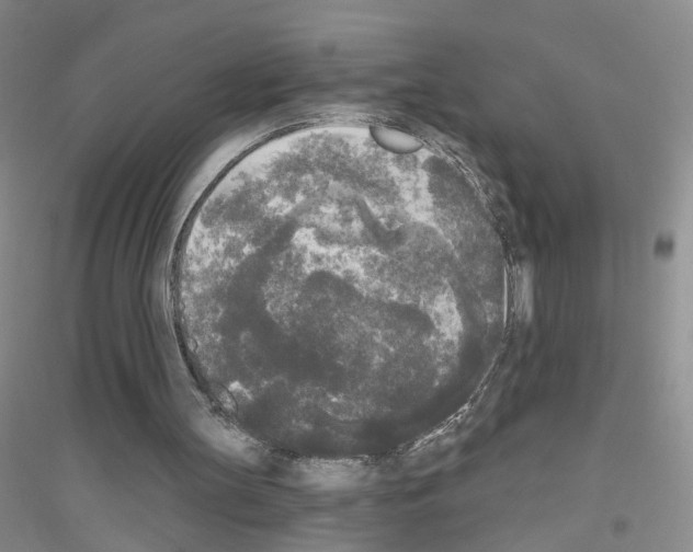 X0000116850147201002021052