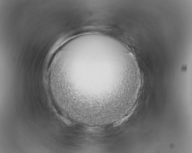X0000116850150201002021052