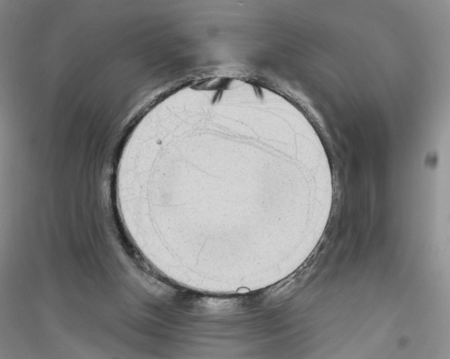 X0000116850154201002021052