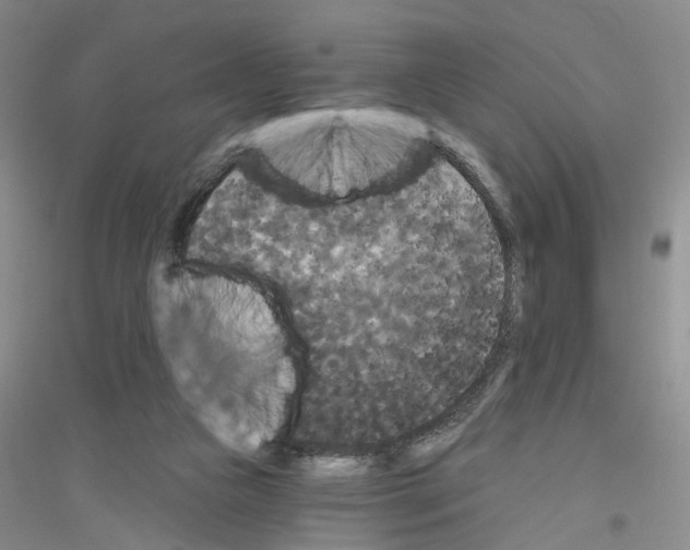 X0000116850161201002021053