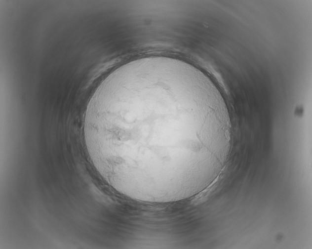 X0000116850162201002021053