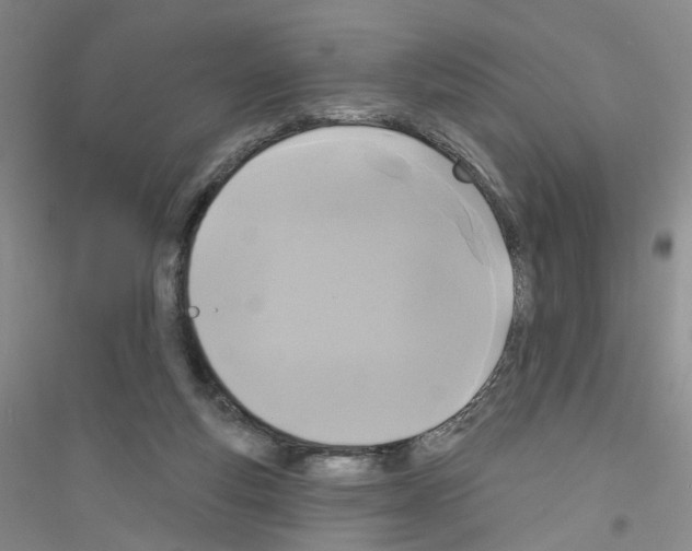 X0000116850163201002021053