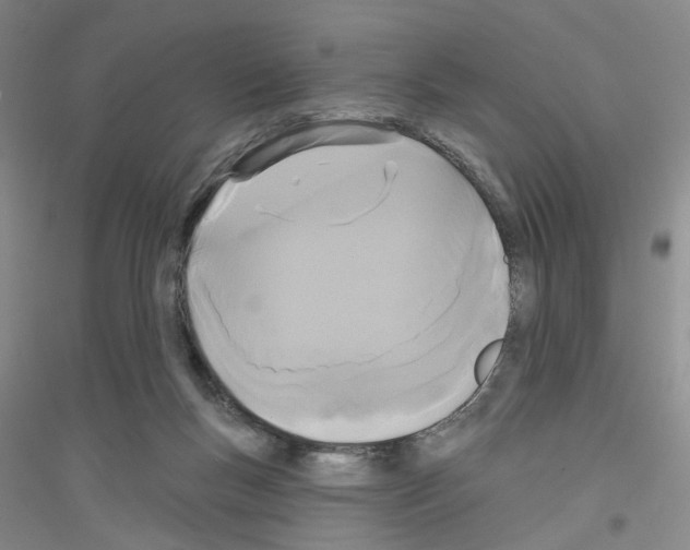 X0000116850167201002021053