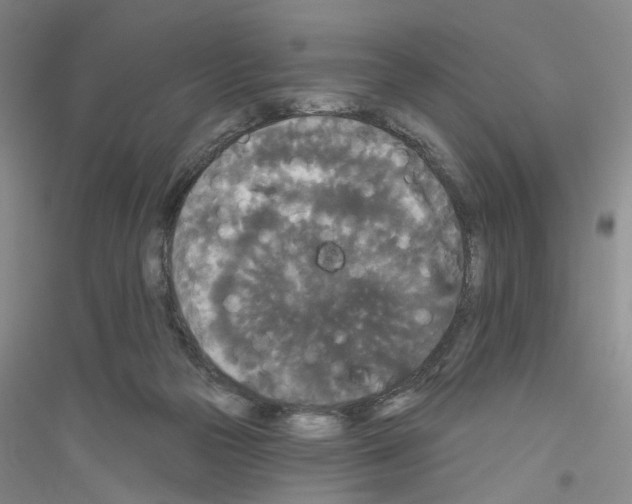 X0000116850169201002021053