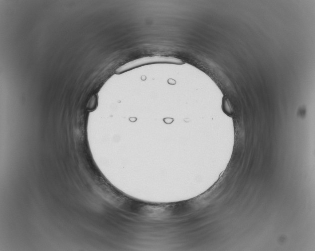 X0000116850170201002021053