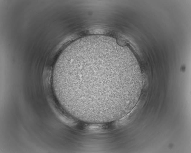 X0000116850171201002021053