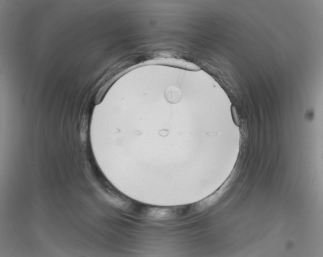 X0000116850174201002021053