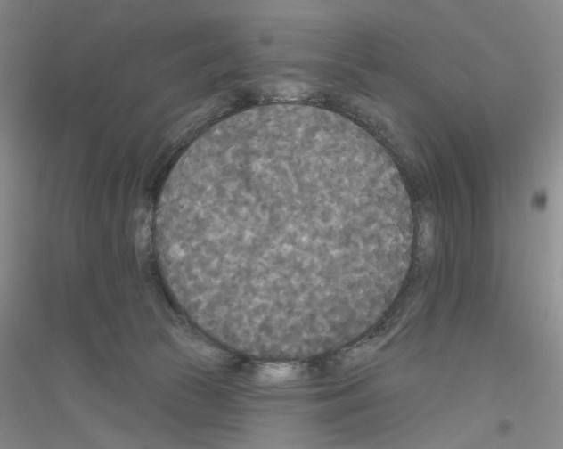 X0000116850177201002021053