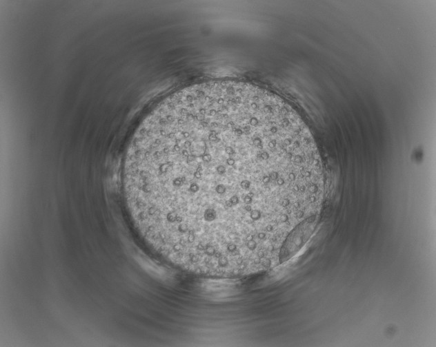 X0000116850179201002021053