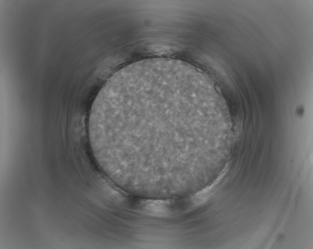 X0000116850182201002021053