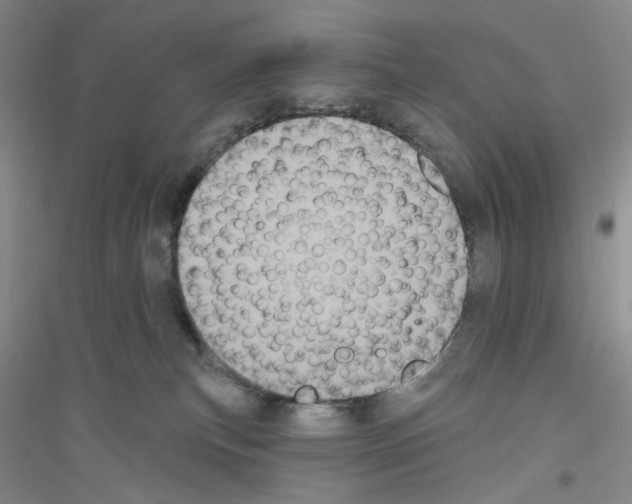 X0000116850183201002021053
