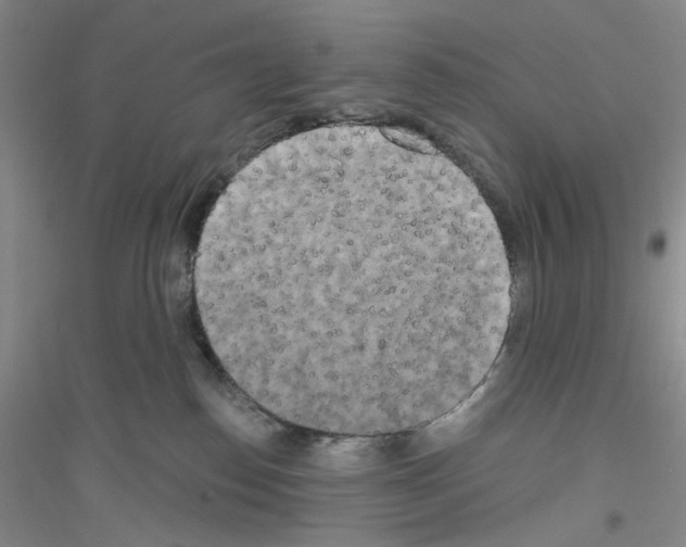 X0000116850186201002021053