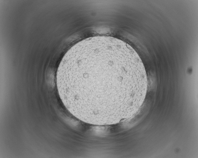 X0000116850187201002021053