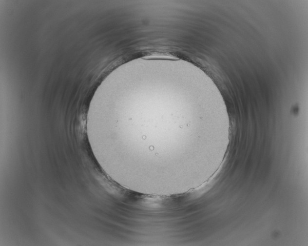 X0000116850190201002021053