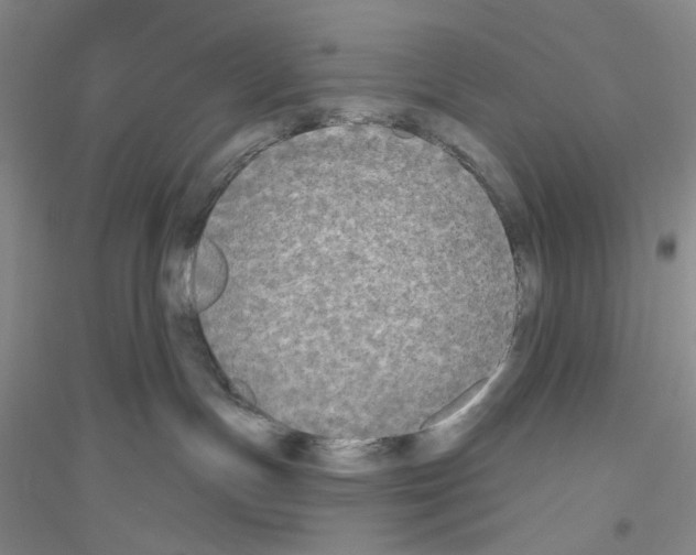 X0000116850191201002021053