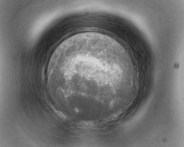 X0000116850194201002021052