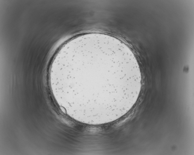 X0000116850200201002021052