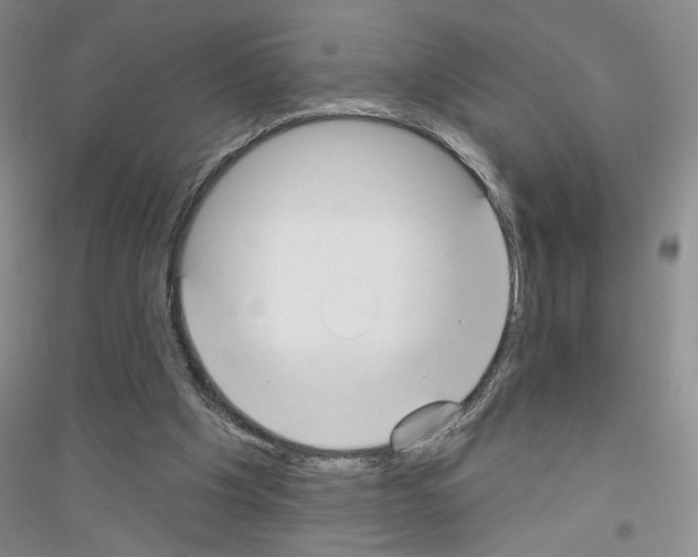 X0000116850201201002021052