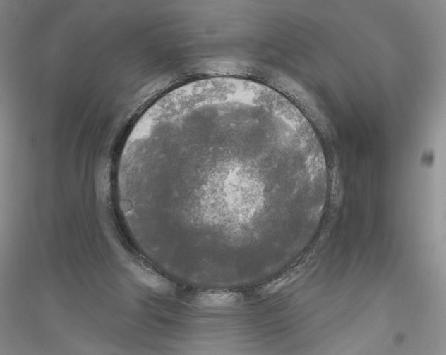 X0000116850202201002021052