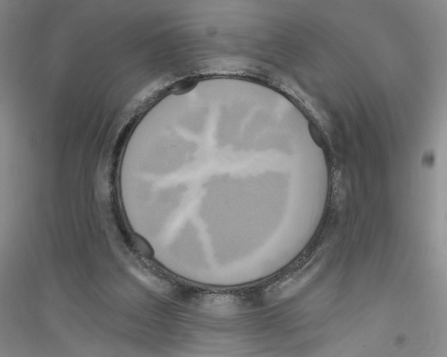 X0000116850203201002021052