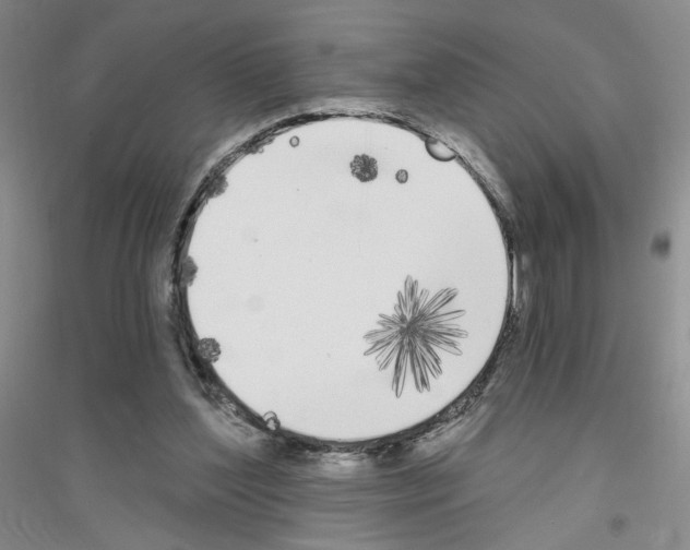 X0000116850204201002021052