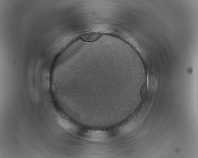 X0000116850205201002021052