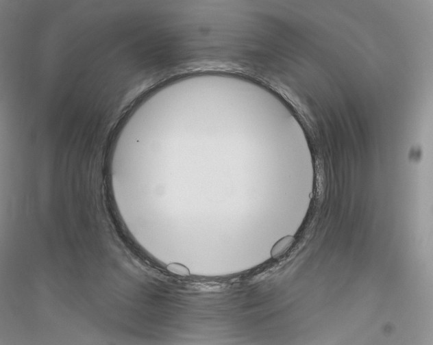 X0000116850207201002021052