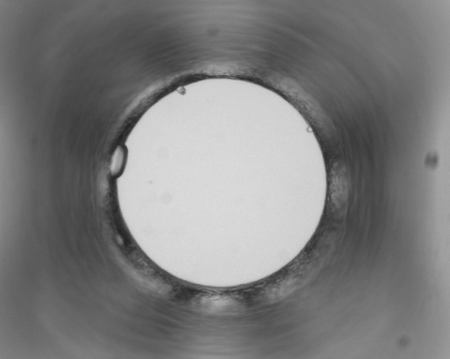 X0000116850208201002021052