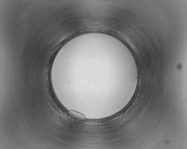 X0000116850211201002021052