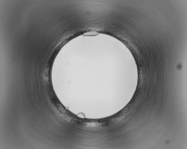 X0000116850212201002021052