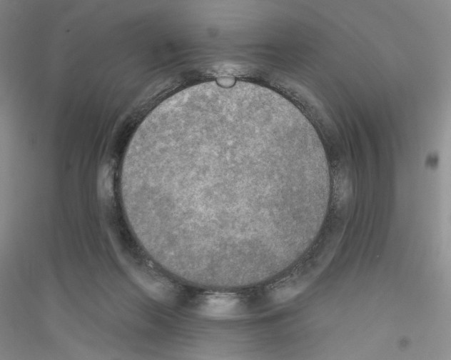 X0000116850214201002021052
