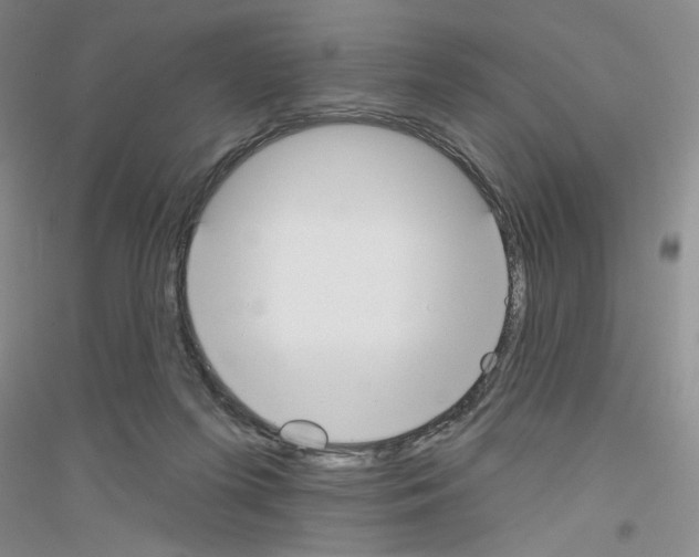 X0000116850215201002021052