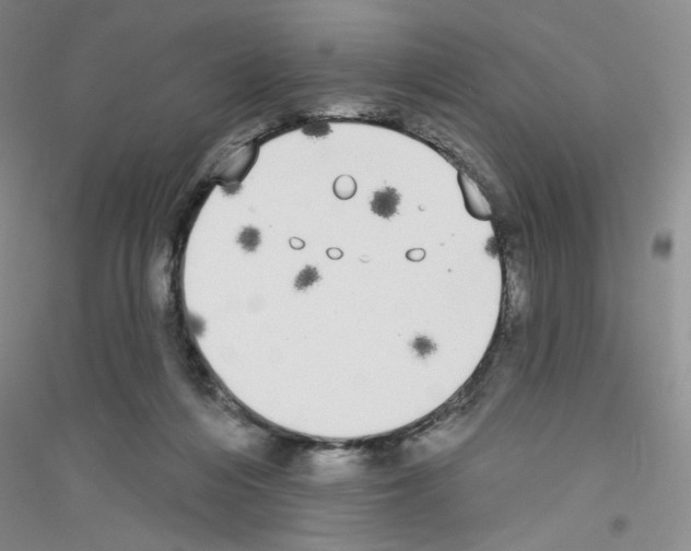 X0000116850216201002021052