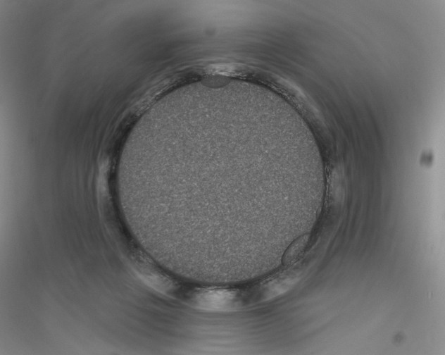 X0000116850217201002021052