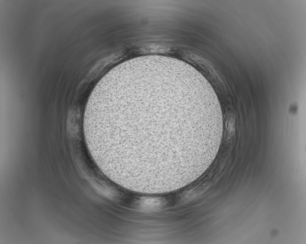 X0000116850218201002021052
