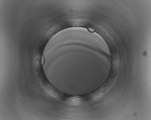 X0000116850219201002021052