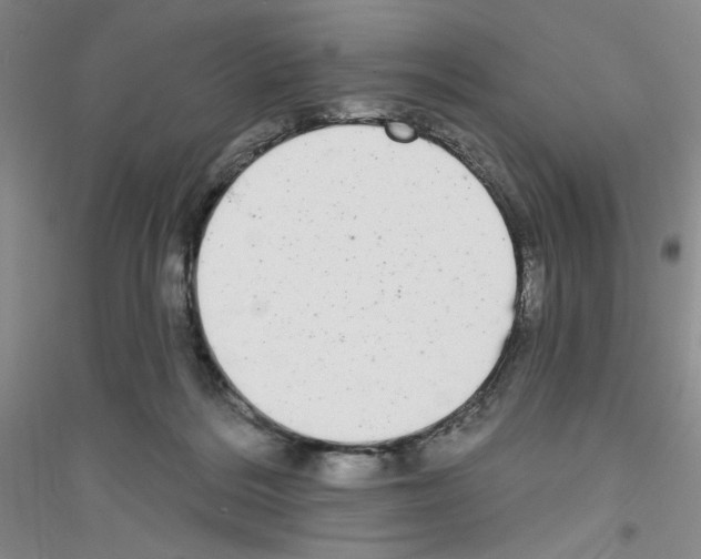 X0000116850220201002021052