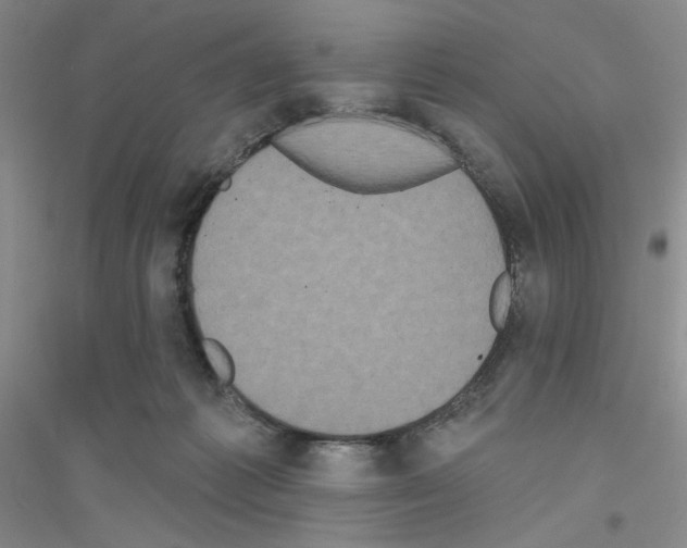 X0000116850221201002021052
