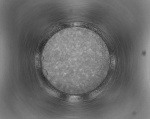 X0000116850222201002021052