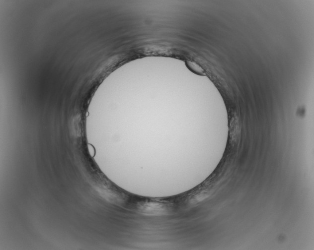 X0000116850224201002021052