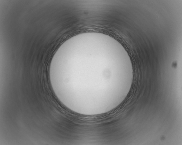 X0000116850225201002021052