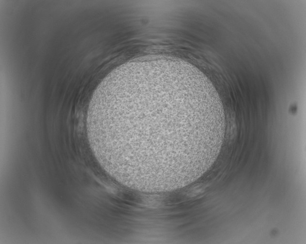 X0000116850226201002021052